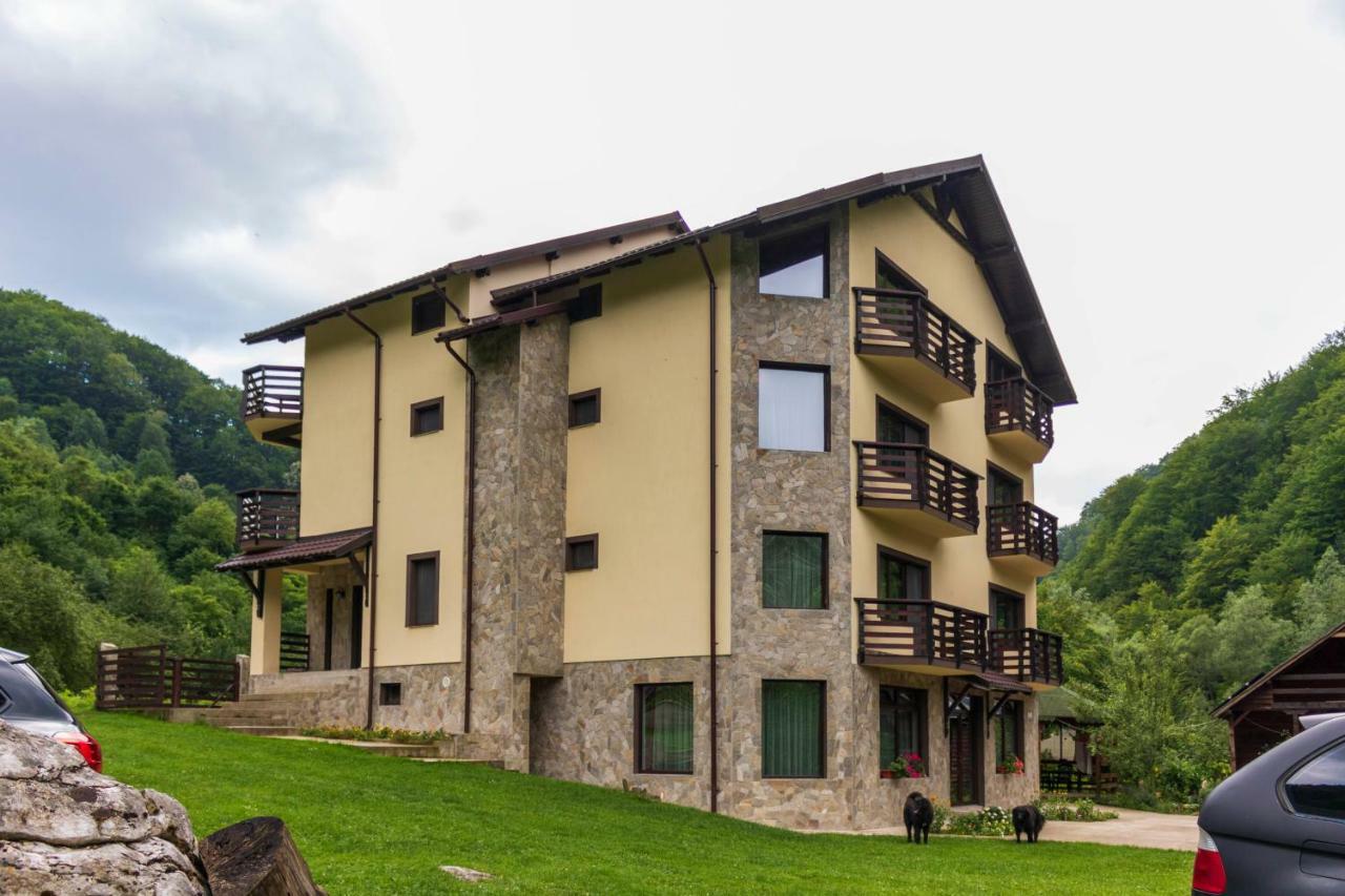Guest house Casa Valea Cernei *