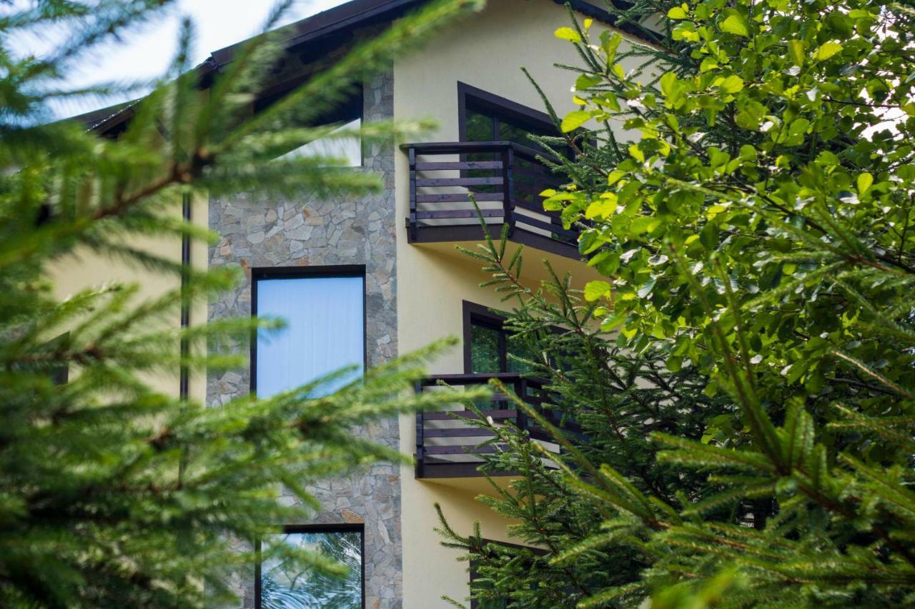 Casa Valea Cernei Guest house Isverna