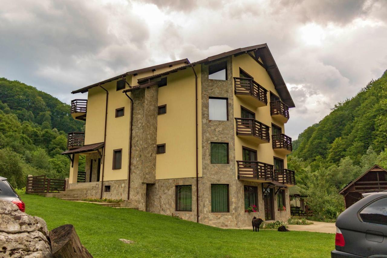 Guest house Casa Valea Cernei *